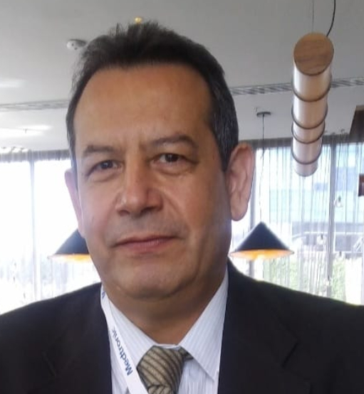 Ing. Joel Plata Soto